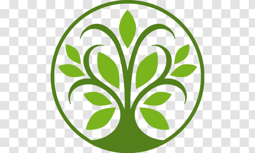 Tree Logo Leaf - Line Art Transparent PNG