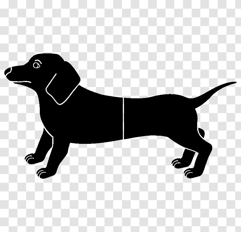 Labrador Retriever Puppy Dog Breed Leash Transparent PNG