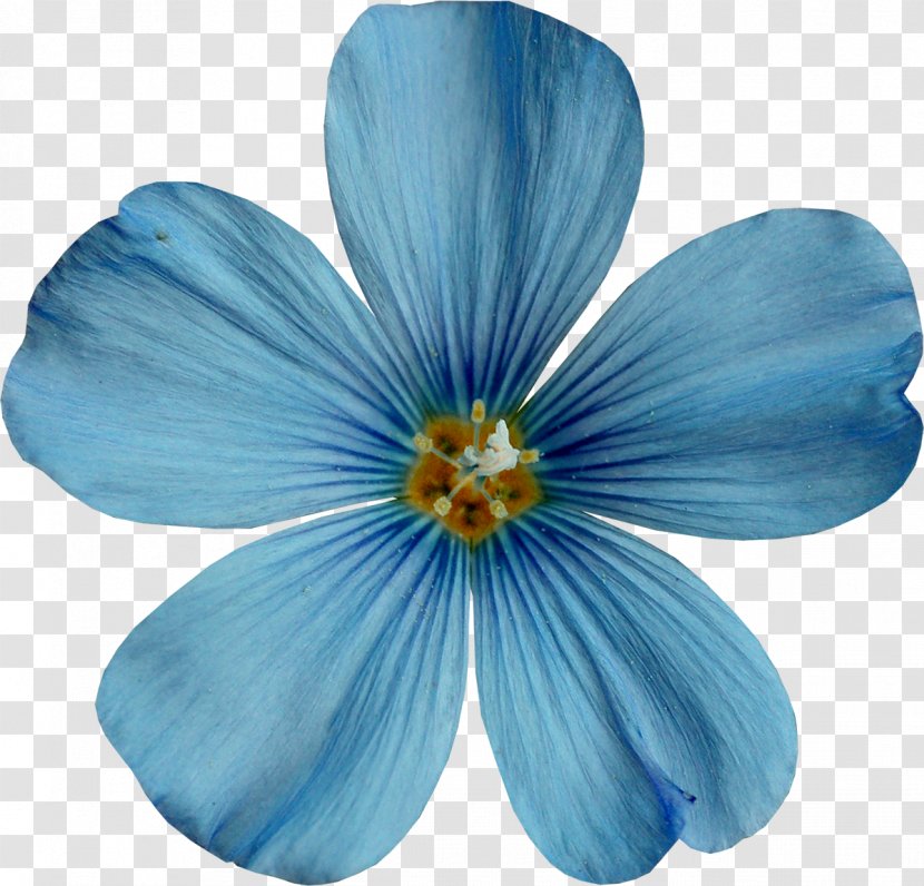 Sky Blue Clip Art - Flower - Lilac Transparent PNG