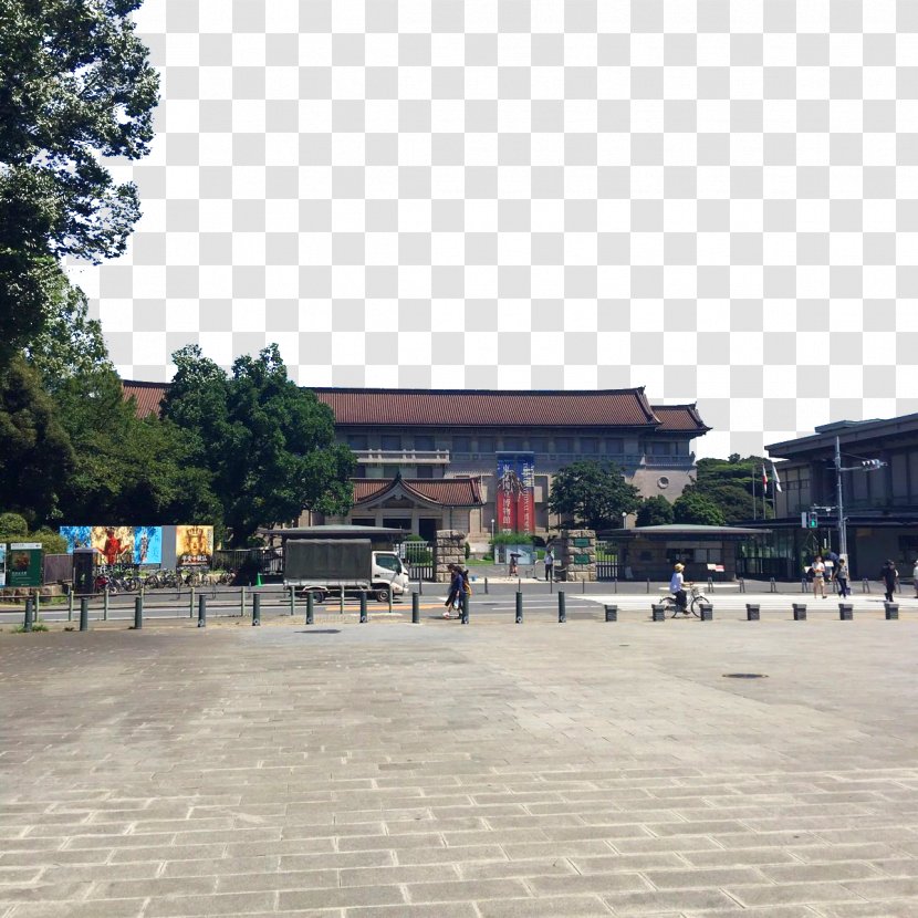 Ueno Park Zoo Odaiba Tourist Attraction - In Tokyo Attractions Transparent PNG