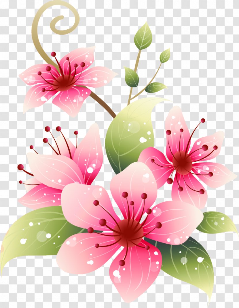 Floral Design Desktop Wallpaper Transparent PNG