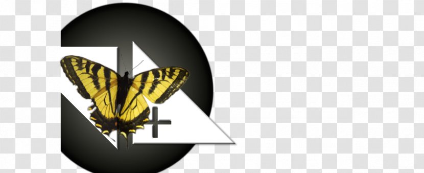 Logo Font Brand Insect - Flag - Bethel Pattern Transparent PNG