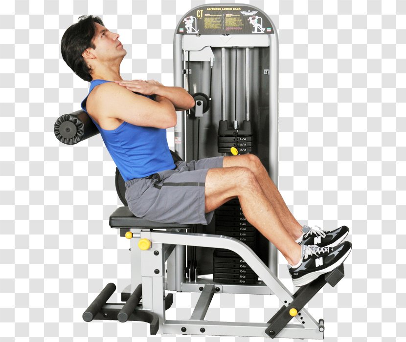 Exercise Machine Fitness Centre Equipment Hyperextension - Tree - Silhouette Transparent PNG