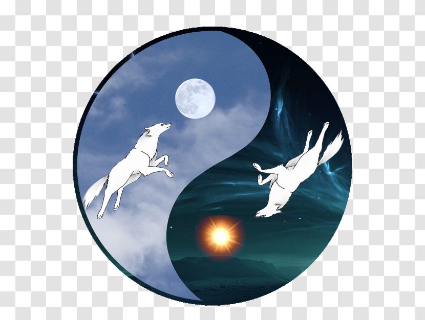 Marine Mammal - Wolf And Moon Transparent PNG