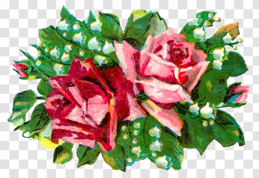 Cut Flowers Garden Roses Floral Design Centifolia - Rosaceae - Lily Of The Valley Transparent PNG