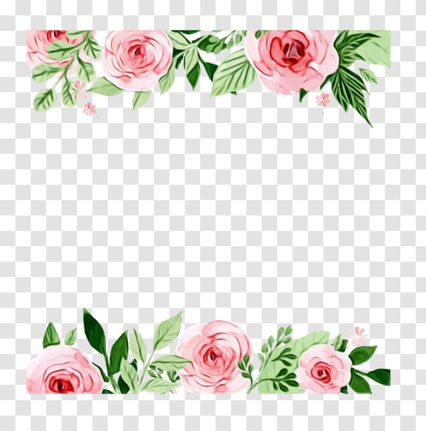 Garden Roses - Watercolor - Cut Flowers Rose Family Transparent PNG