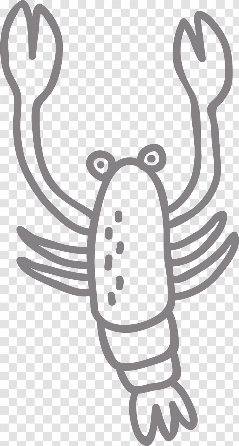 Lobster Shrimp And Prawn As Food - Cartoon - Line Prawns Transparent PNG