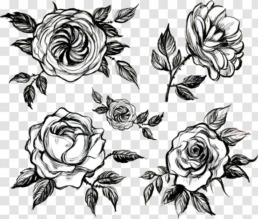 Visual Arts Floral Design White Rose - Temporary Tattoo - Hand Painted Mountain Tea Transparent PNG