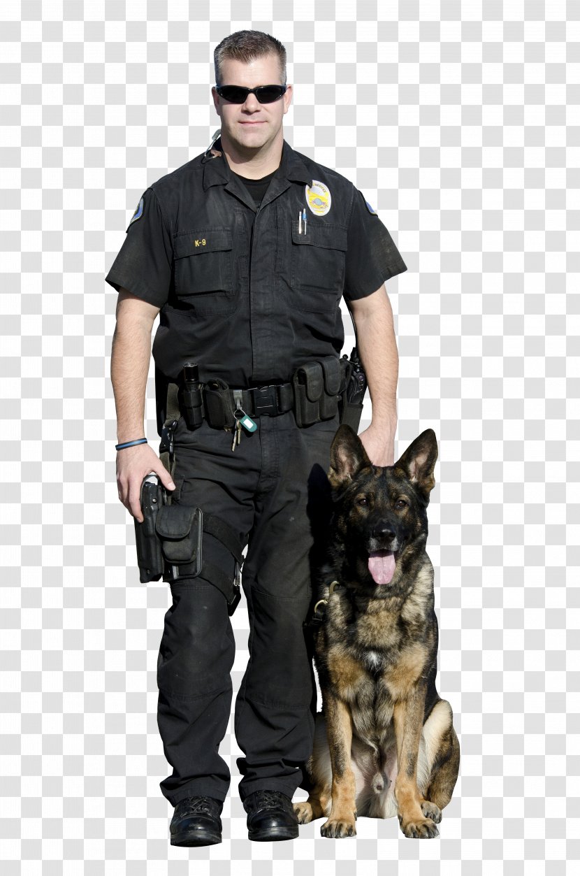 German Shepherd Malinois Dog Police Officer - Law Enforcement Transparent PNG