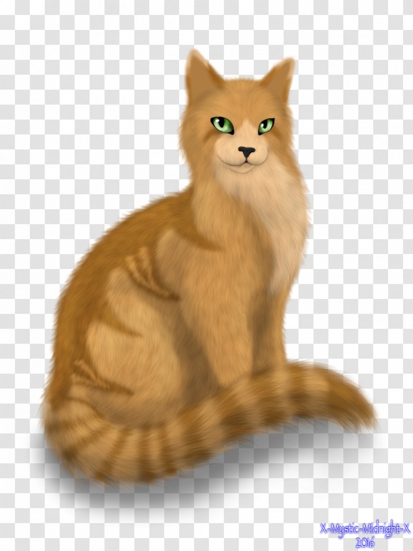 Whiskers Wildcat Red Fox Fur - Wildlife - Cat Transparent PNG