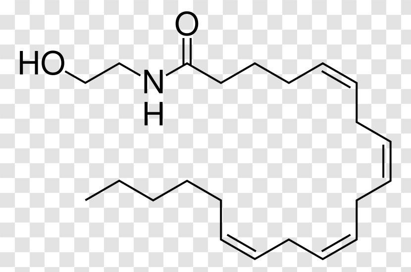 Anandamide Endocannabinoid System Cannabinoid Receptor Tetrahydrocannabinol - Neurotransmitter - Rectangle Transparent PNG