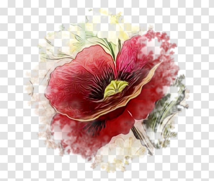 Red Watercolor Flowers - Poppy - Floristry Anemone Transparent PNG