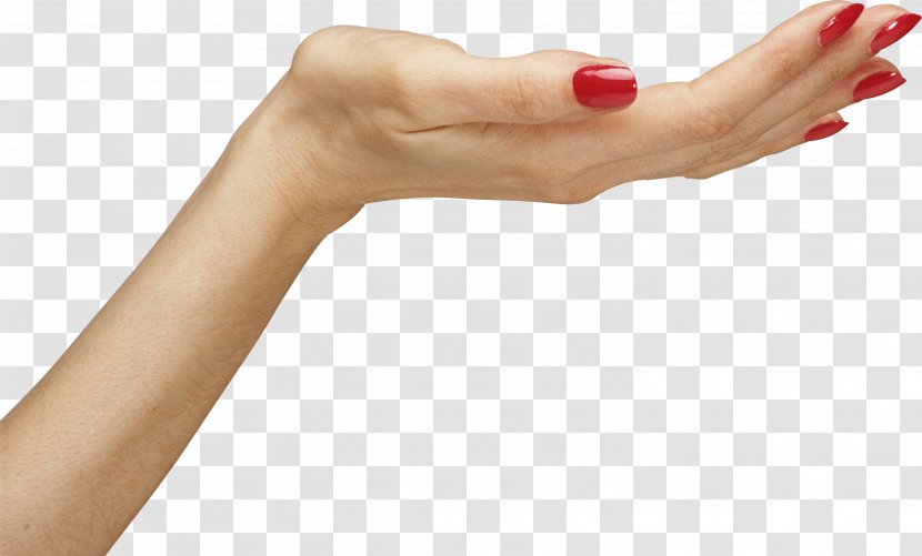Woman Hand Icon - Thumb - Hands Image Transparent PNG
