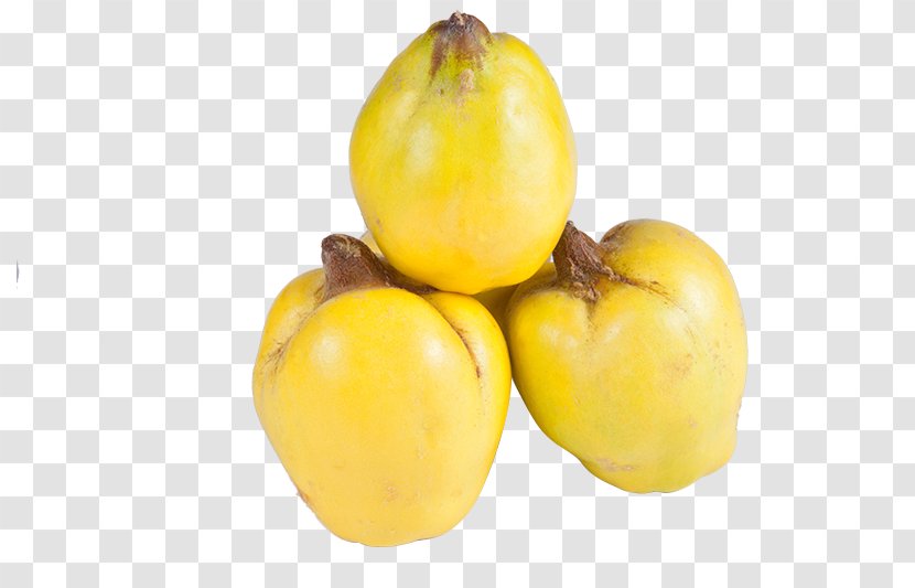 Quince Fruit Pome Tree Auglis - Papaya Bohm Transparent PNG