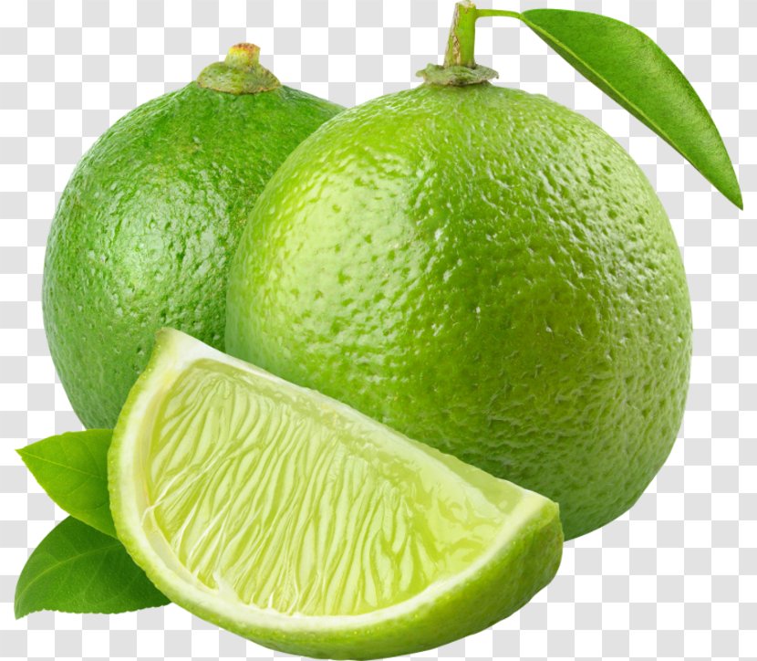 Clip Art Key Lime Fruit - Persian Transparent PNG