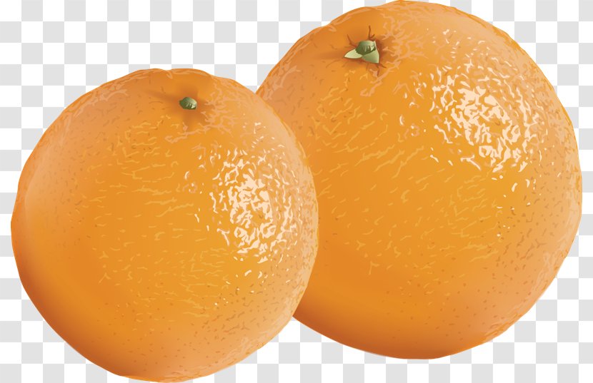 Tangerine Mandarin Orange Clementine Tangelo - Bitter - Realistic Strawberry Transparent PNG