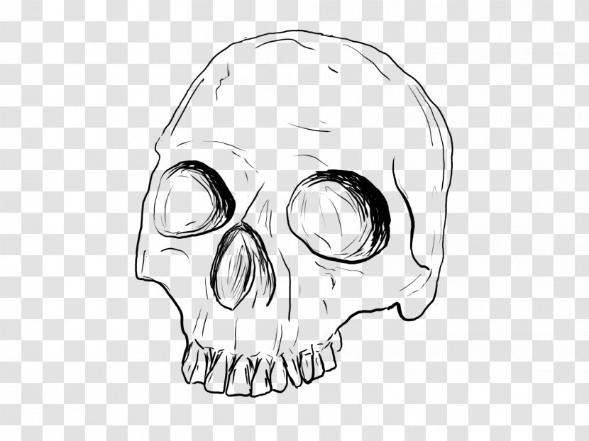 Drawing Skull Line Art Sketch - Cartoon Transparent PNG