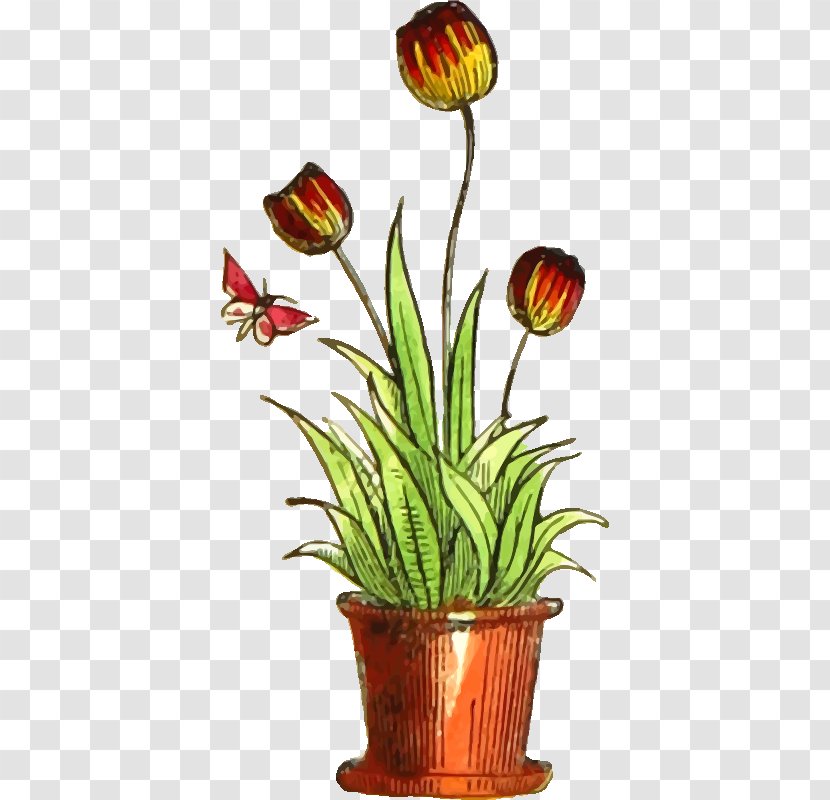 Tulip Flower Clip Art - Cut Flowers Transparent PNG