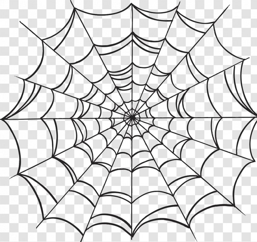 Spider Web Drawing Transparent PNG
