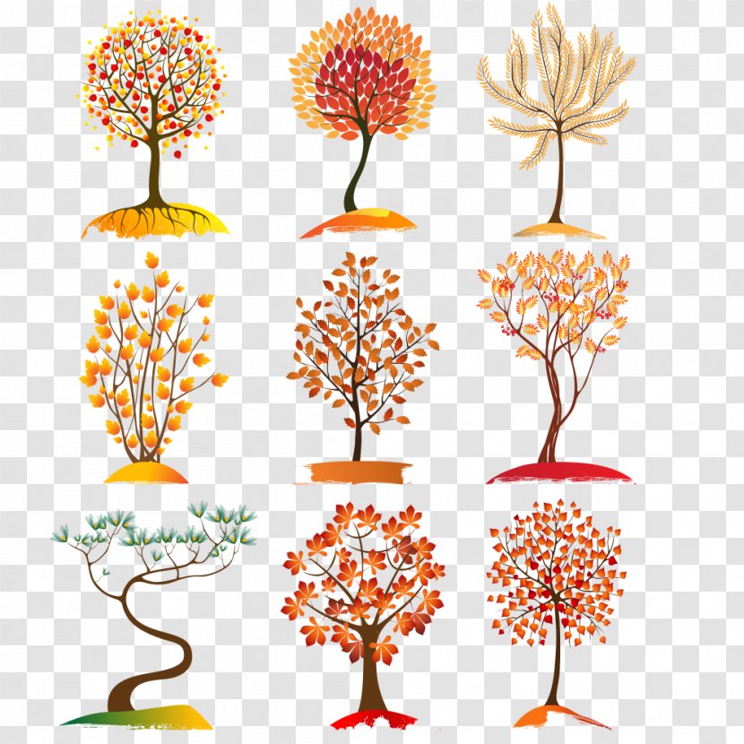 Autumn Leaf Color Tree Icon - Drawing - FIG Collection Transparent PNG