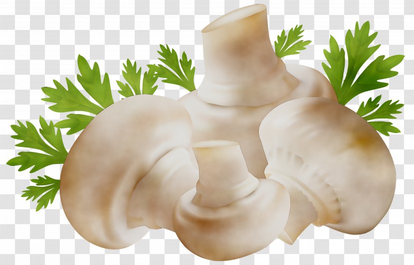 Mushroom Vector Graphics Clip Art - Parsley Transparent PNG