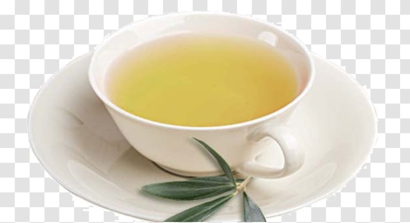 Hōjicha Earl Grey Tea Mate Cocido Oolong - Green - Herbal Transparent PNG