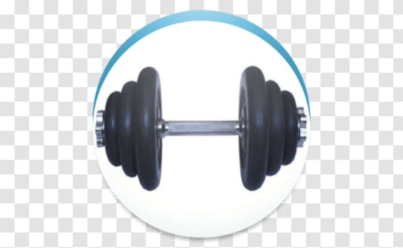 Dumbbell Barbell Kettlebell Weight Training Transparent PNG