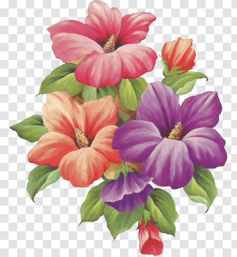Flower Drawing Painting Paper - Annual Plant Transparent PNG