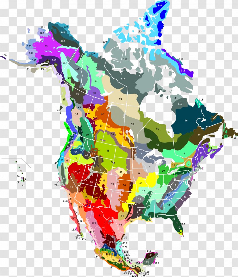 United States Canada Geology Continent Ecoregion Transparent PNG