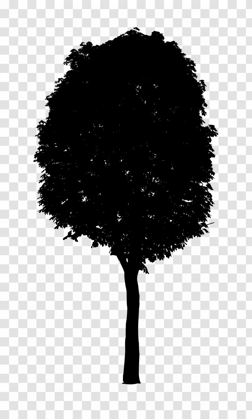 Tree Black And White - Silhouette - Transparent Transparent PNG