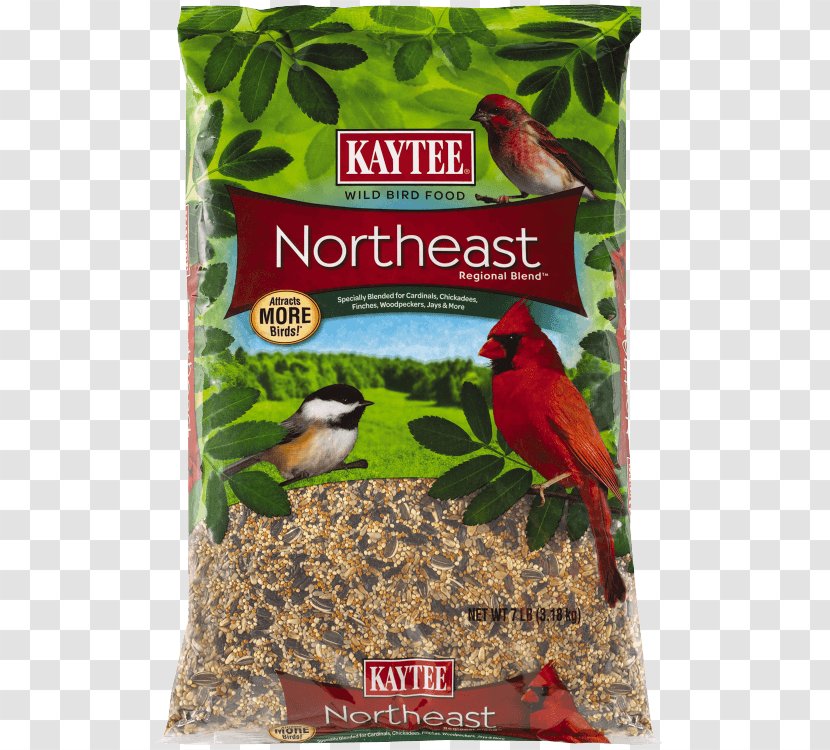 Bird Food Kaytee Sunflower Seed Suet - Pound Transparent PNG