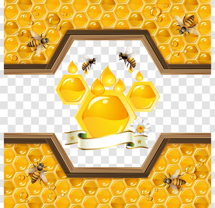 Bee Honeycomb Illustration - Honey - Golden Transparent PNG