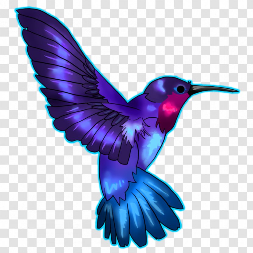 Hummingbird Drawing Blue Clip Art - Beak - Crowned Clipart Transparent PNG