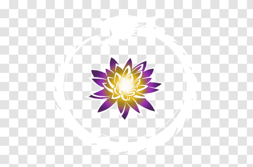 Flowering Plant - Violet - Flower Transparent PNG