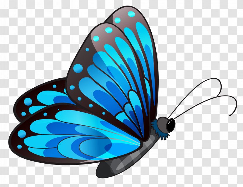 Butterfly Clip Art - Transparent Blue Clipart Transparent PNG