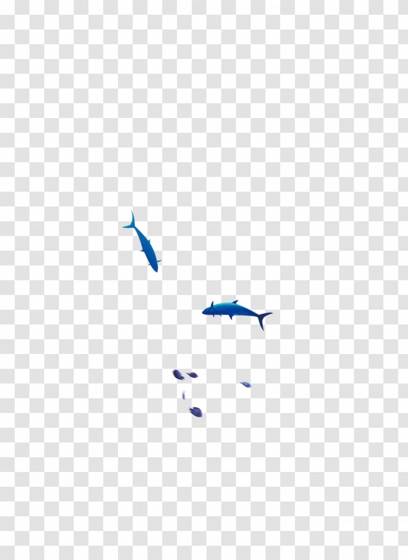 Area Angle Pattern - Wing - Fish Transparent PNG