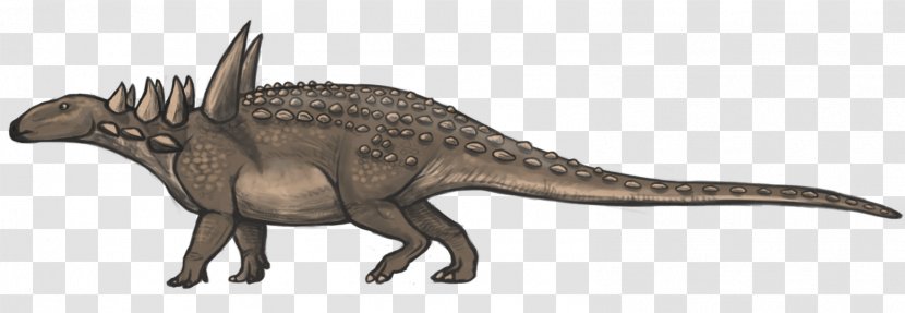 Sauropelta Silvisaurus Panoplosaurus Dacentrurus Pawpawsaurus - Fauna - Dinosaur Transparent PNG