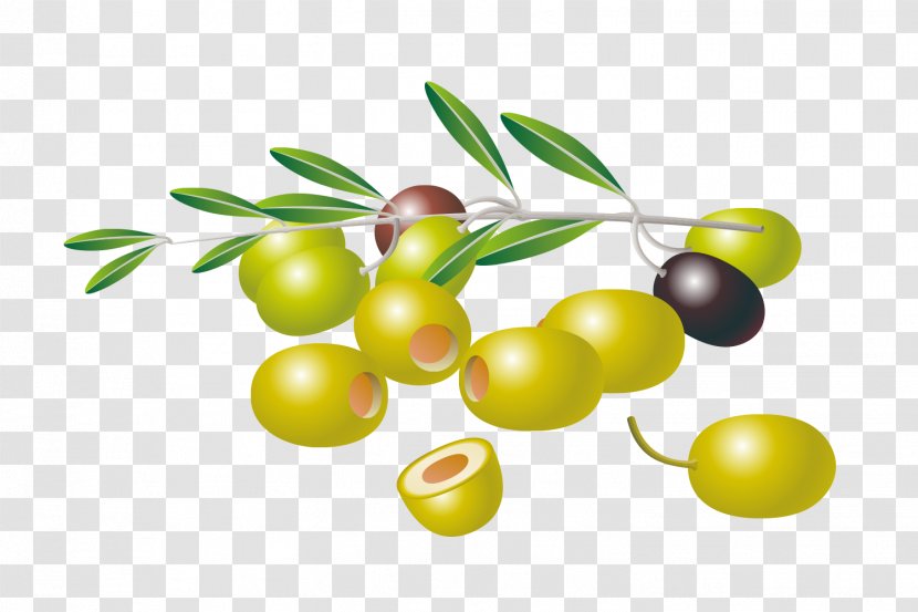 Olive Free Content Clip Art - Fruit - Material Transparent PNG