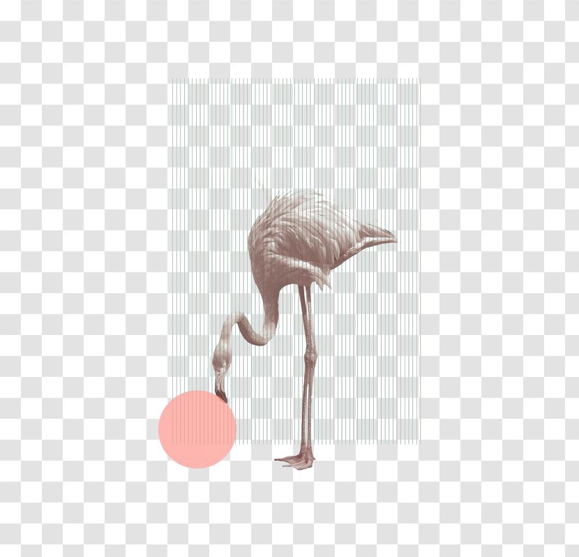Poster Artist Graphic Design - Fubiz - Flamingo Illustration Transparent PNG