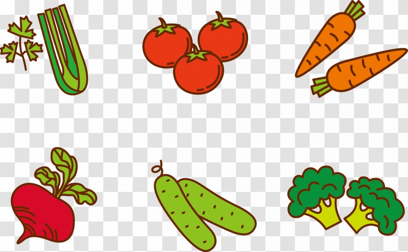 Fruit Vegetable Cartoon Clip Art - Broccoli - Vector Vegetables Transparent PNG