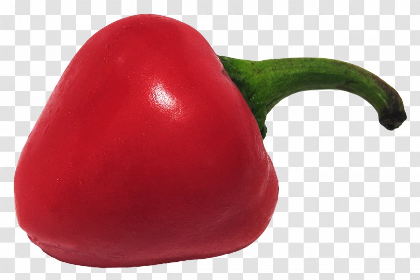 Chili Pepper Bell Paprika Pimiento Peperoncino - Cabbage Transparent PNG