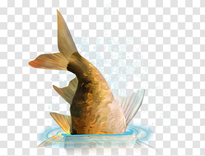 Goldfish - Feather - Fish Bust Transparent PNG