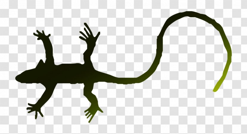 Gecko Frog Lizard Terrestrial Animal Dinosaur - Fauna - Tail Transparent PNG