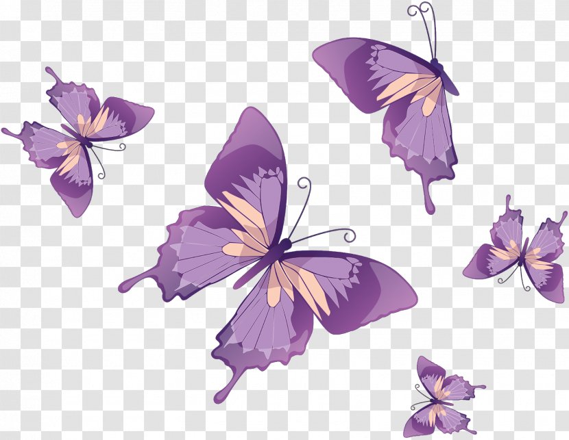 Monarch Butterfly Drawing Clip Art - Photography Transparent PNG