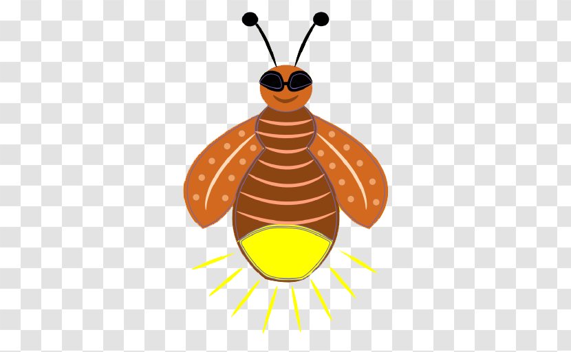 Clip Art - Insect - Firefly Pic Transparent PNG