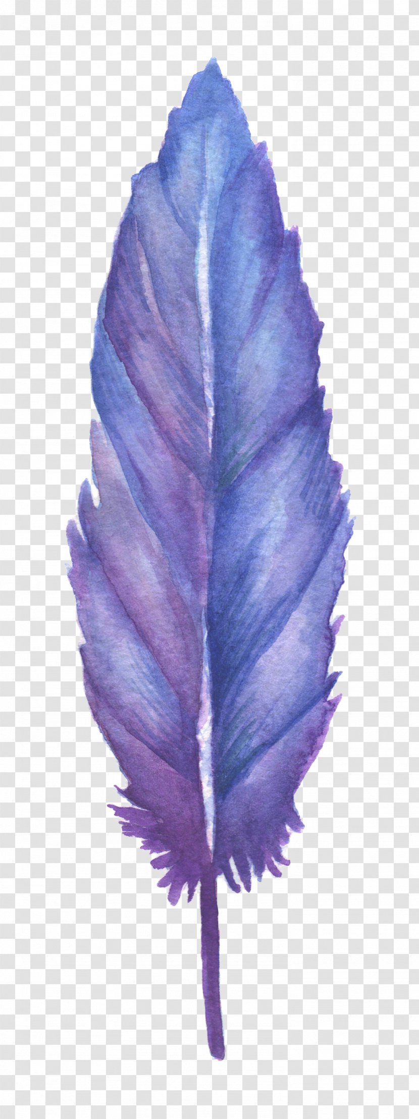 Feather Blue Clip Art - Color Transparent PNG