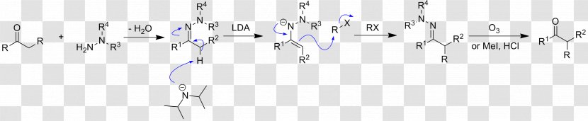 Enders SAMP/RAMP Hydrazone-alkylation Reaction Lithium Diisopropylamide Enamine - Mechanism Transparent PNG