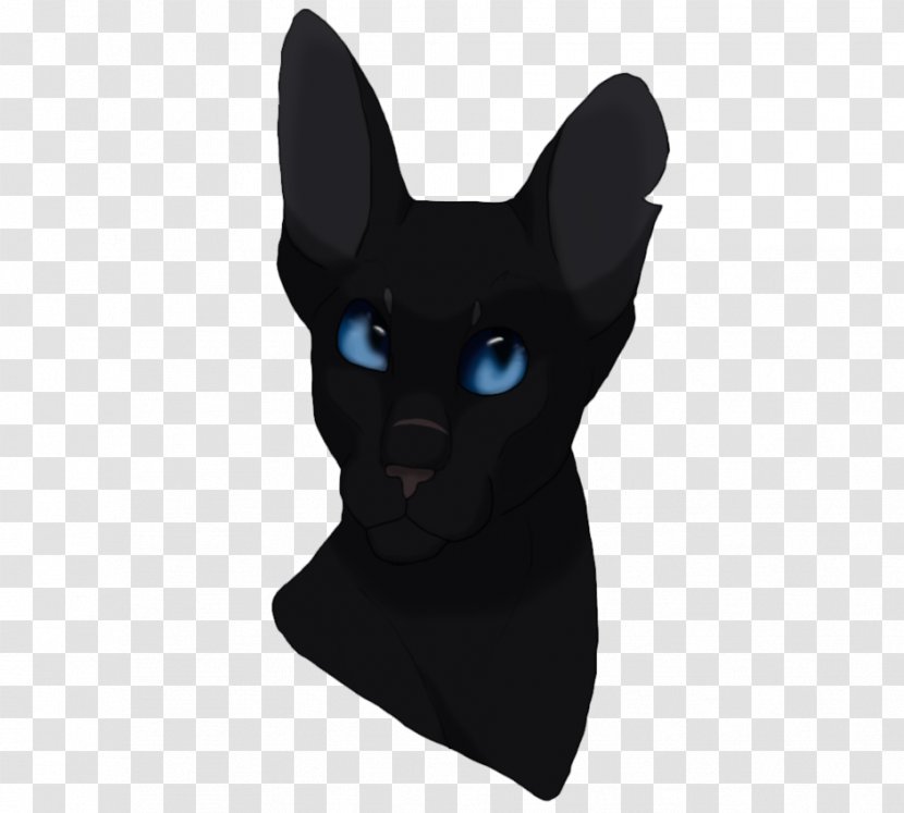 Whiskers Cat Dog Snout Canidae - Black M Transparent PNG
