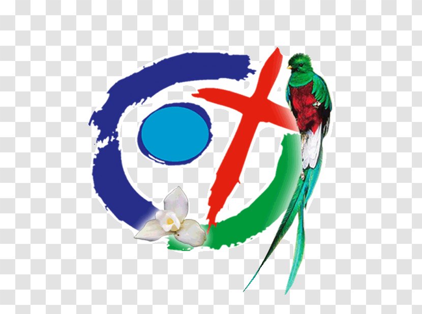 Fifth Episcopal Conference Of Latin America Christian Mission Missionary Aparecida - Fictional Character - Church Transparent PNG