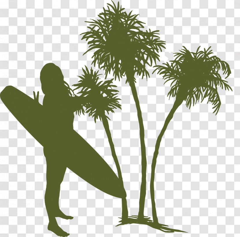 Euclidean Vector Tree Coconut - Branch - Woman Surfboard Summer Material Transparent PNG